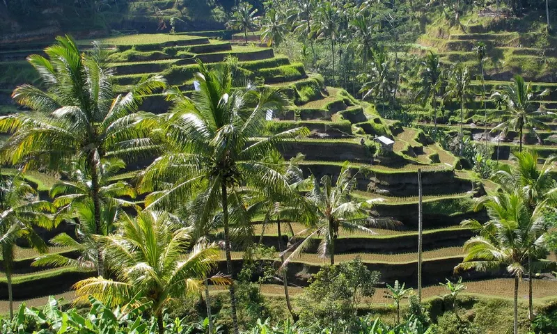Bali
