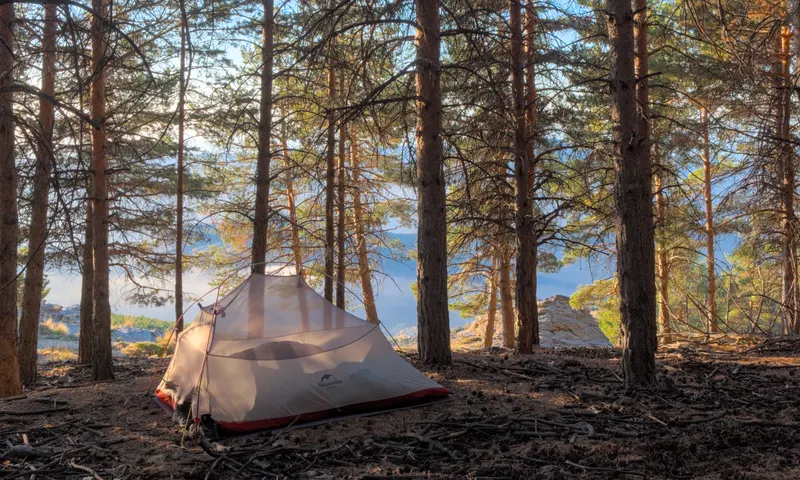 Camping
