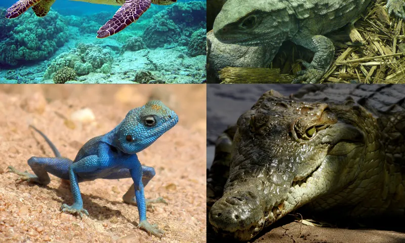 Reptielen
